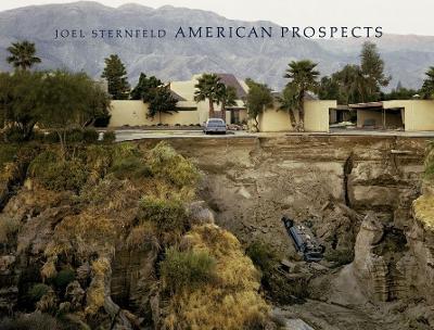 Book cover for Joel Sternfeld: American Prospects