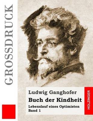 Book cover for Buch der Kindheit (Grossdruck)