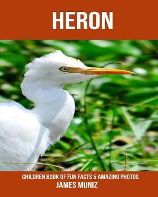 Book cover for Heron