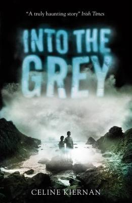 Book cover for Into the Grey