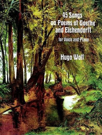 Book cover for 45 Songs on Poems of Goethe and Eichendorff