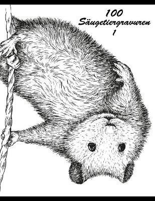 Book cover for 100 Säugetiergravuren 1