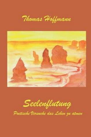 Cover of Seelenflutung