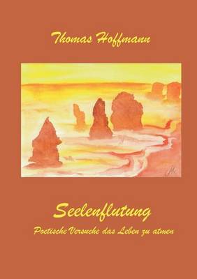 Book cover for Seelenflutung