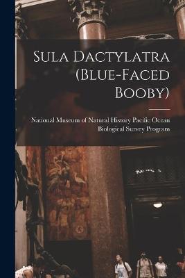 Cover of Sula Dactylatra (blue-faced Booby)