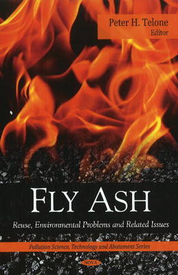 Book cover for Fly Ash