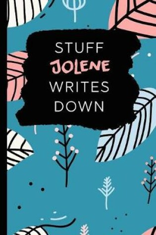 Cover of Stuff Jolene Writes Down