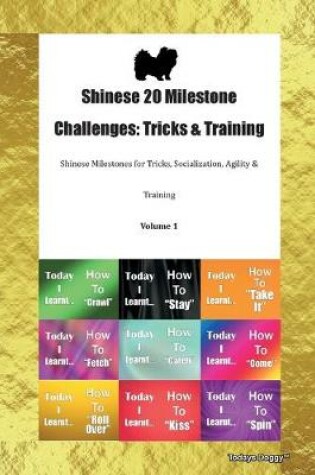 Cover of Shinese 20 Milestone Challenges