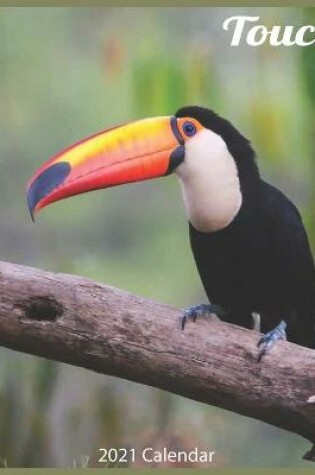 Cover of Toucans 2021 Calendar