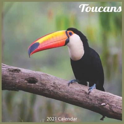 Book cover for Toucans 2021 Calendar