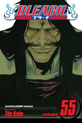 Book cover for Bleach, Vol. 55