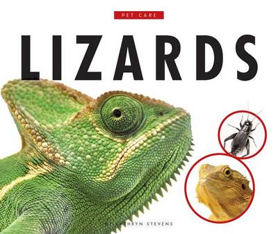 Cover of Lizards