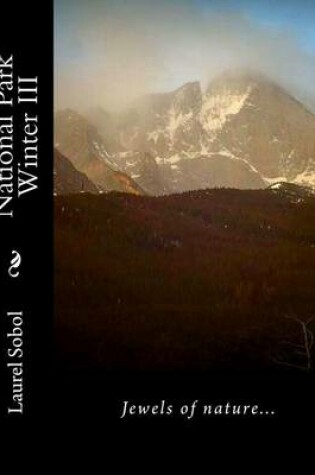 Cover of National Park Winter III