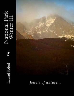 Cover of National Park Winter III