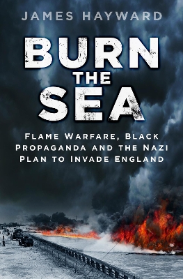 Book cover for Burn the Sea