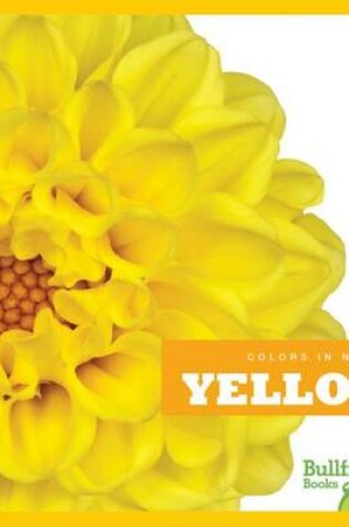 Cover of Yellow