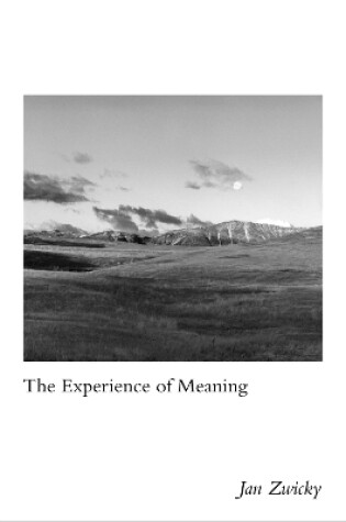 Cover of The Experience of Meaning