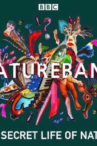 Cover of NatureBang