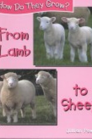 Cover of From Lamb to Sheep