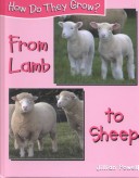Book cover for From Lamb to Sheep