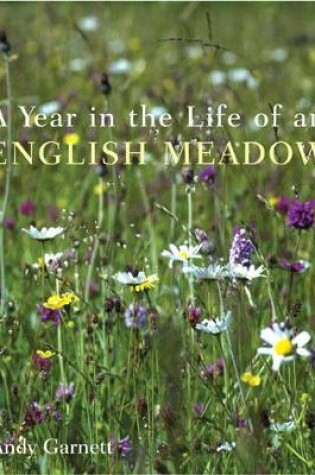 Cover of A Year in the Life of an English Meadow