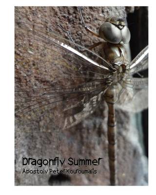 Book cover for Dragonfly Summer