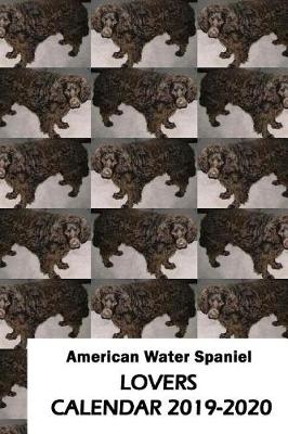 Book cover for American Water Spaniel Lovers Calendar 2019-2020