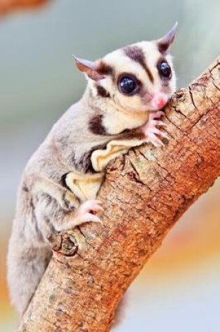 Cover of A Sugar Glider Journal