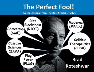 Book cover for The Perfect Fool!