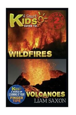 Cover of A Smart Kids Guide to Wildfires and Volcanoes
