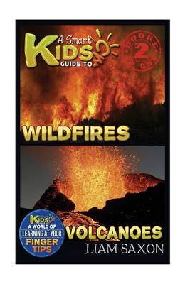 Book cover for A Smart Kids Guide to Wildfires and Volcanoes