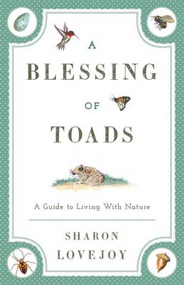 Cover of A Blessing of Toads