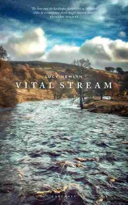 Book cover for Vital Stream