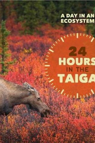 Cover of 24 Hours in the Taiga