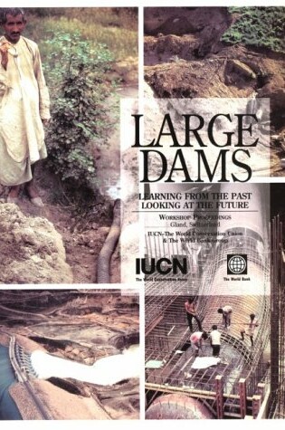 Cover of Large Dams