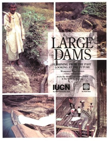 Book cover for Large Dams