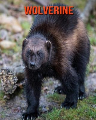 Book cover for Wolverine