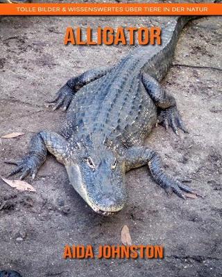 Book cover for Alligator