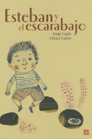 Cover of Esteban y El Escarabajo