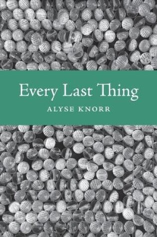 Cover of Every Last Thing