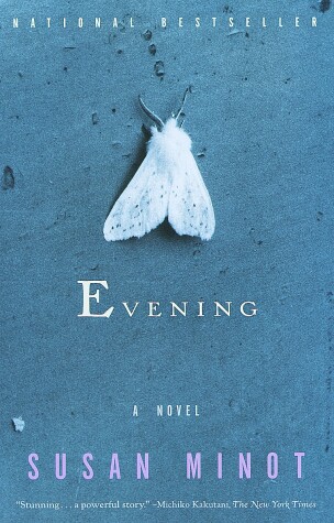 Book cover for Evening
