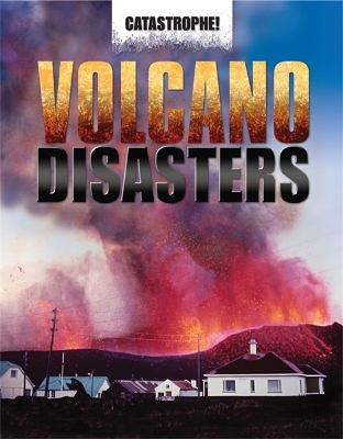 Book cover for Volcano Disasters