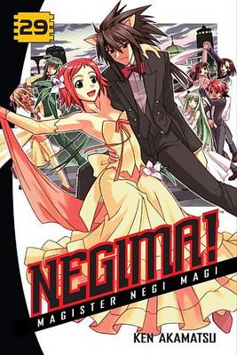 Cover of Negima! 29