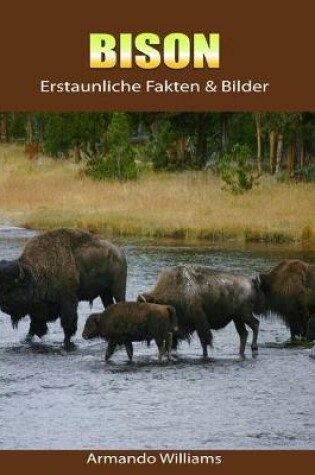 Cover of Bison