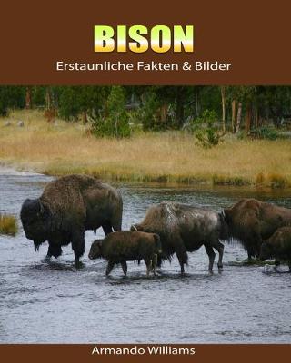 Book cover for Bison