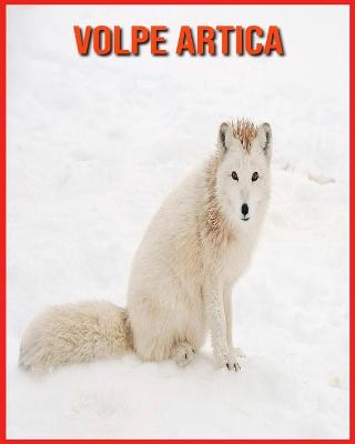 Book cover for Volpe Artica