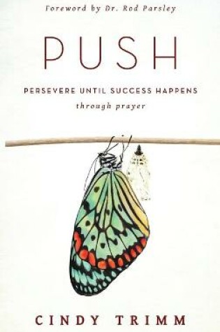 Cover of Push