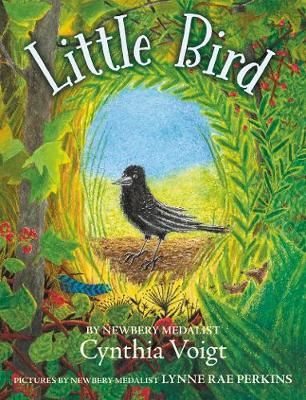 Book cover for Little Bird