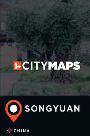 Cover of City Maps Songyuan China