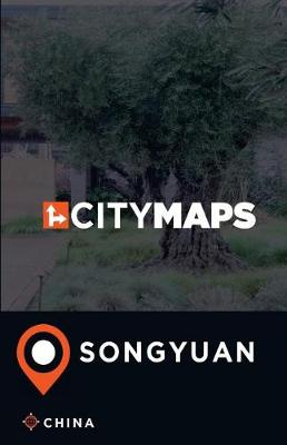 Book cover for City Maps Songyuan China